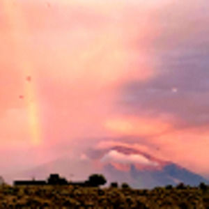 Meet your Posher, Paul